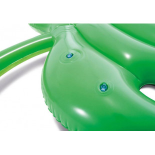 Intex inflatable palm leaf 213x142 cm 58782 - 5